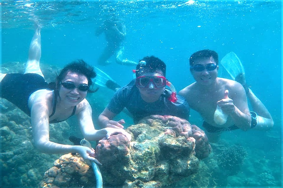 Paket Snorkeling Pulau Harapan