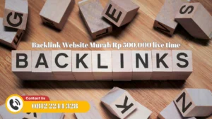 Backlink Website Murah Rp 500.000 live time